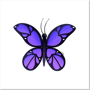 Butterfly-Purple Posters and Art